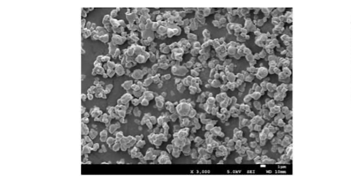 24 新規な熱膨張抑制剤